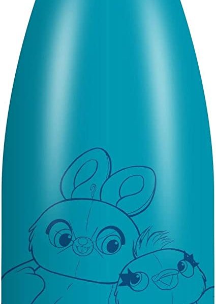 HMB METAL WATER BOTTLE: DISNEY- TOY STORY DUCKY AND BUNNY