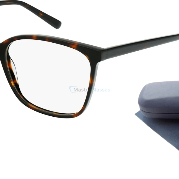 INVU optical frames Matt Dark Demi B4219B