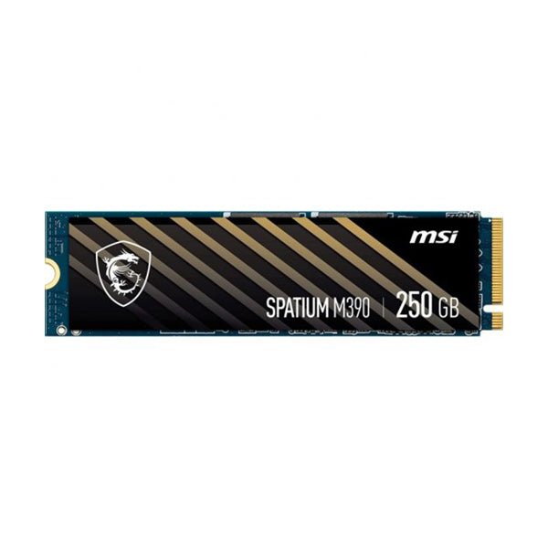 MSI SPATIUM M390 NVMe M.2 250GB