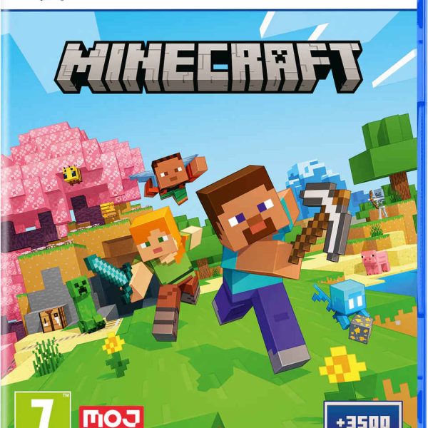 PS5 Games Minecraft